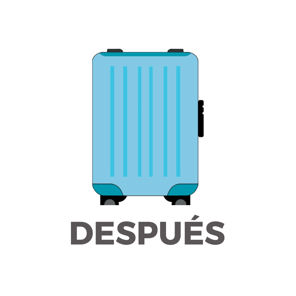 WEB Accesorios 1000x1000